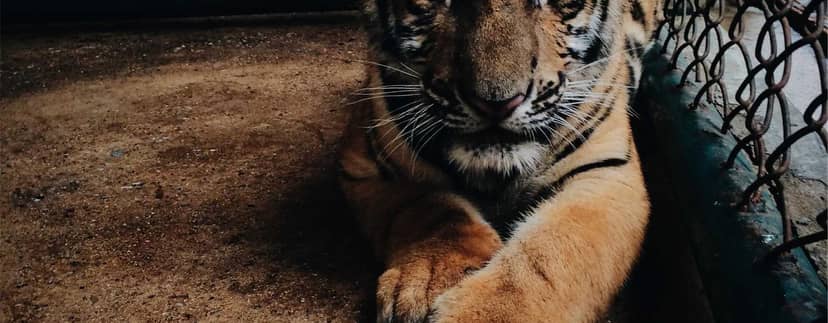 Unauth title PBXsPTJw