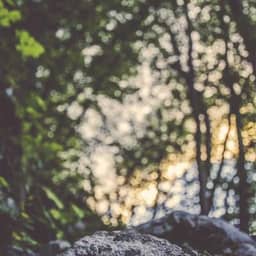 test-gen-Hf4NcwiH-Provider Desktop Only_big_logo.jpg